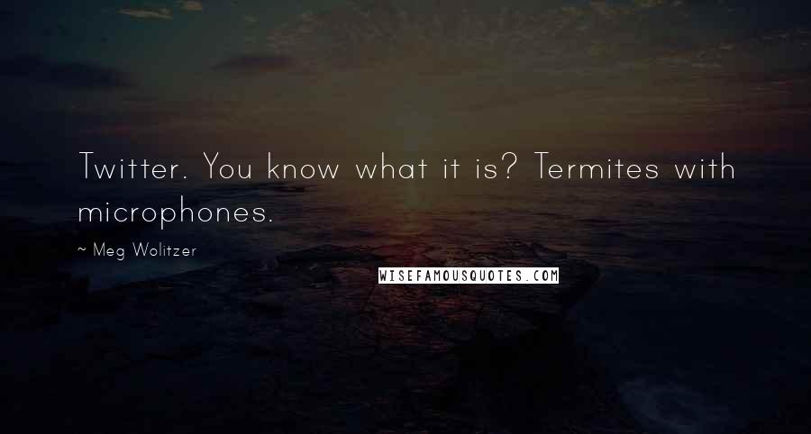 Meg Wolitzer Quotes: Twitter. You know what it is? Termites with microphones.