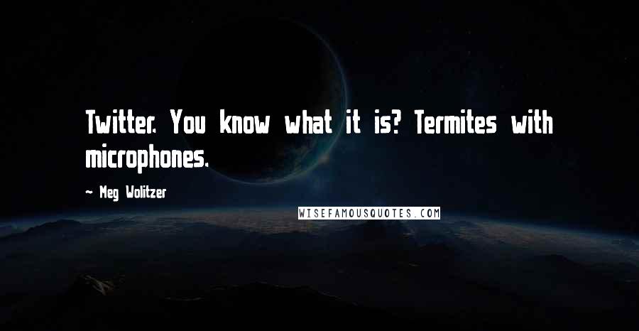 Meg Wolitzer Quotes: Twitter. You know what it is? Termites with microphones.
