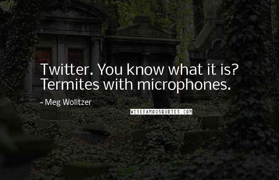 Meg Wolitzer Quotes: Twitter. You know what it is? Termites with microphones.