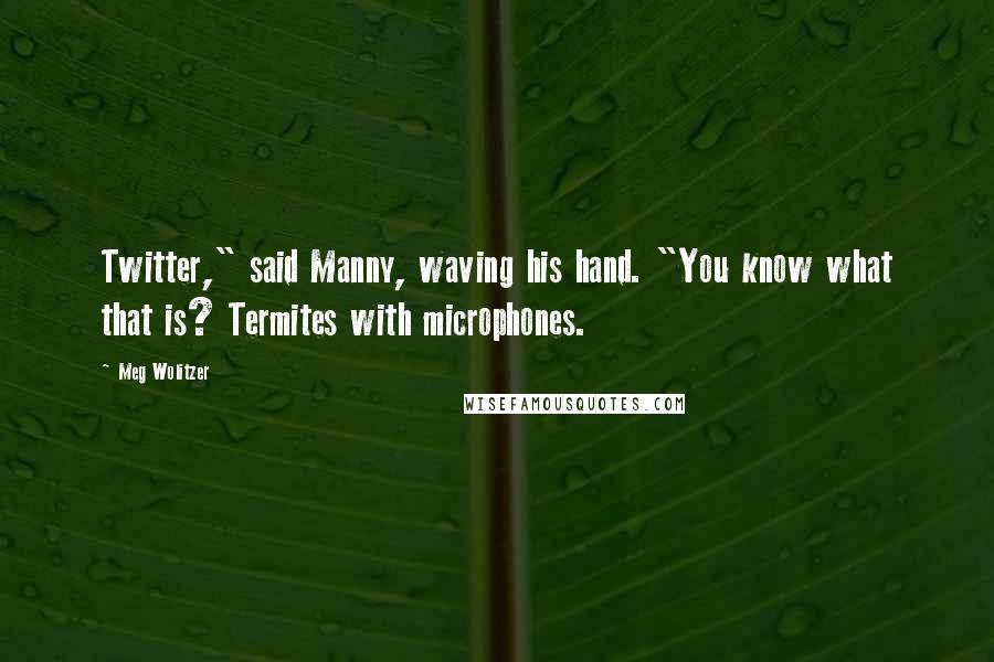 Meg Wolitzer Quotes: Twitter," said Manny, waving his hand. "You know what that is? Termites with microphones.