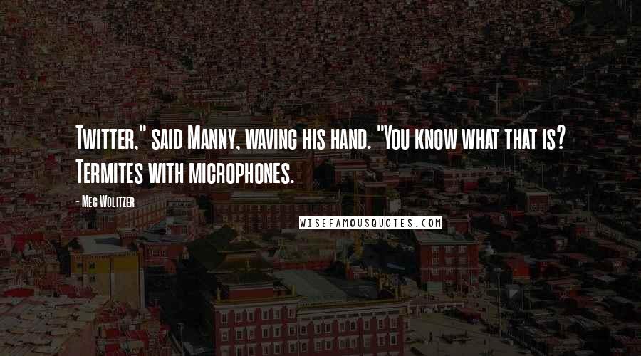 Meg Wolitzer Quotes: Twitter," said Manny, waving his hand. "You know what that is? Termites with microphones.