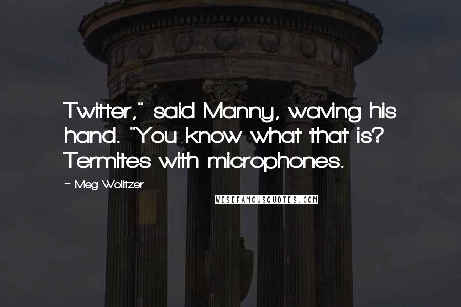 Meg Wolitzer Quotes: Twitter," said Manny, waving his hand. "You know what that is? Termites with microphones.