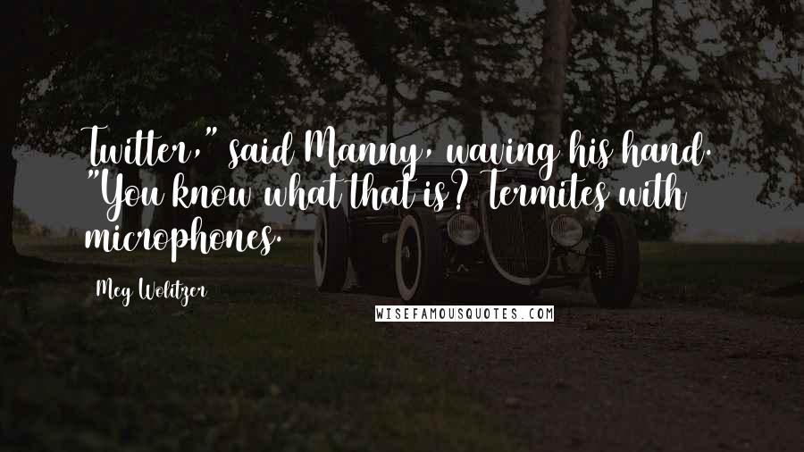 Meg Wolitzer Quotes: Twitter," said Manny, waving his hand. "You know what that is? Termites with microphones.