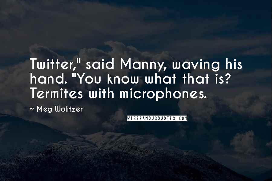 Meg Wolitzer Quotes: Twitter," said Manny, waving his hand. "You know what that is? Termites with microphones.