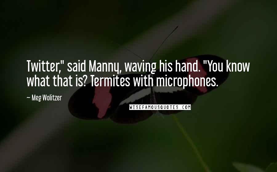 Meg Wolitzer Quotes: Twitter," said Manny, waving his hand. "You know what that is? Termites with microphones.