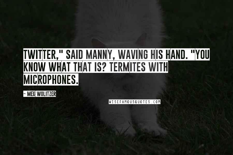 Meg Wolitzer Quotes: Twitter," said Manny, waving his hand. "You know what that is? Termites with microphones.