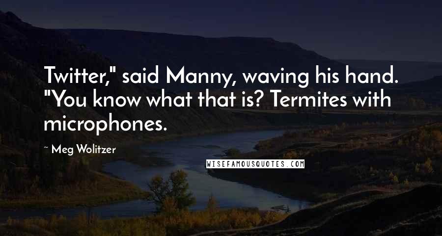 Meg Wolitzer Quotes: Twitter," said Manny, waving his hand. "You know what that is? Termites with microphones.