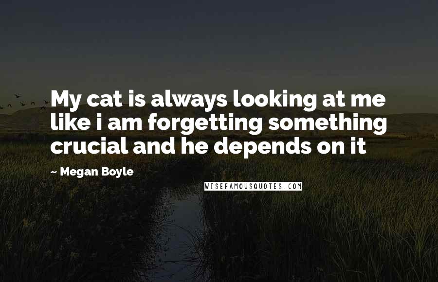 Megan Boyle Quotes: My cat is always looking at me like i am forgetting something crucial and he depends on it