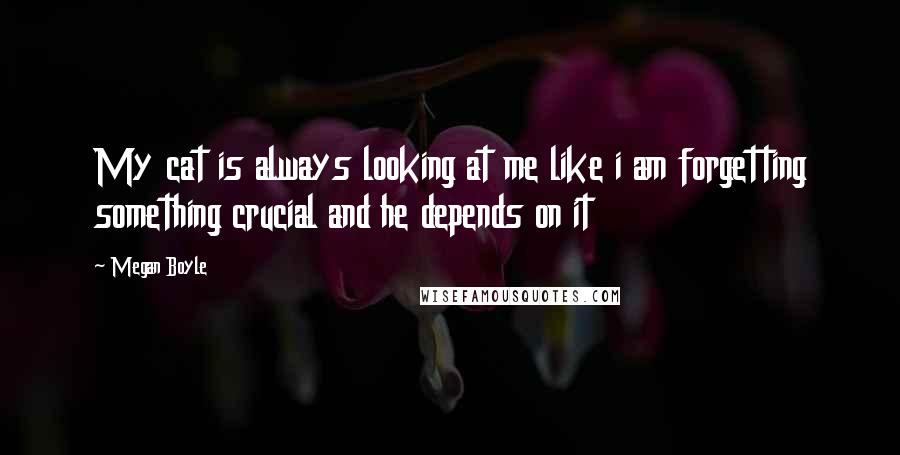 Megan Boyle Quotes: My cat is always looking at me like i am forgetting something crucial and he depends on it