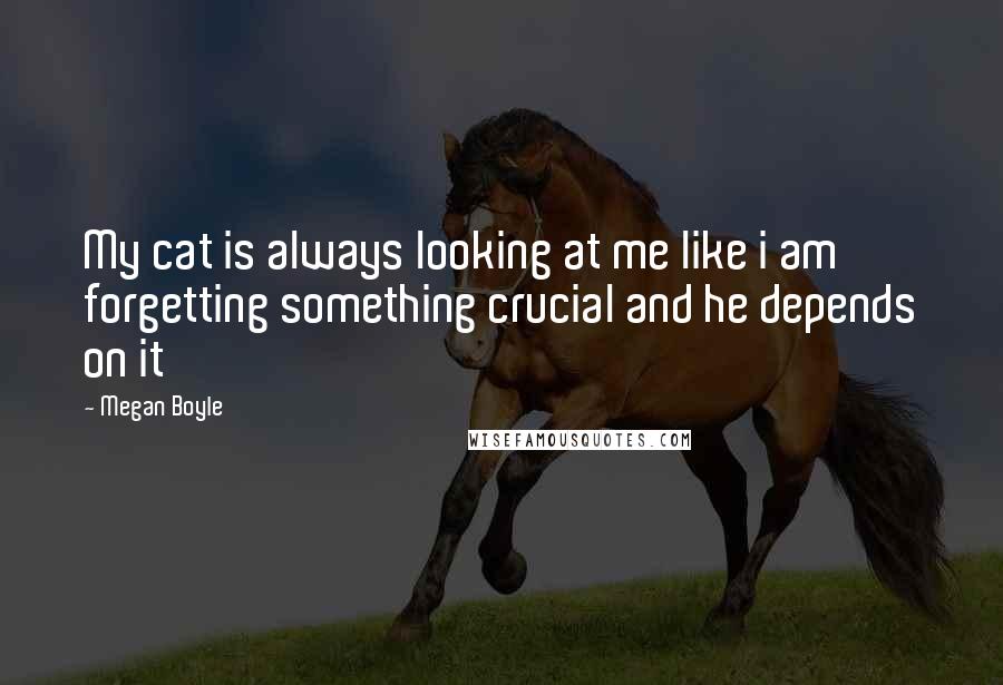 Megan Boyle Quotes: My cat is always looking at me like i am forgetting something crucial and he depends on it