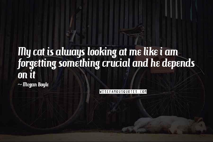 Megan Boyle Quotes: My cat is always looking at me like i am forgetting something crucial and he depends on it