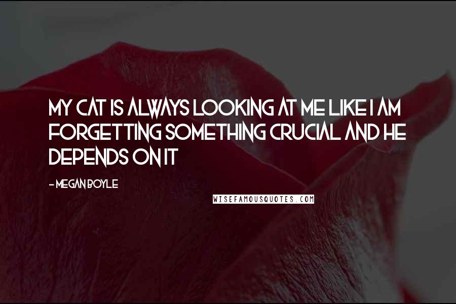 Megan Boyle Quotes: My cat is always looking at me like i am forgetting something crucial and he depends on it