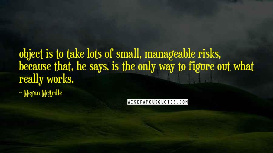 Megan McArdle Quotes: object is to take lots of small, manageable risks, because that, he says, is the only way to figure out what really works.