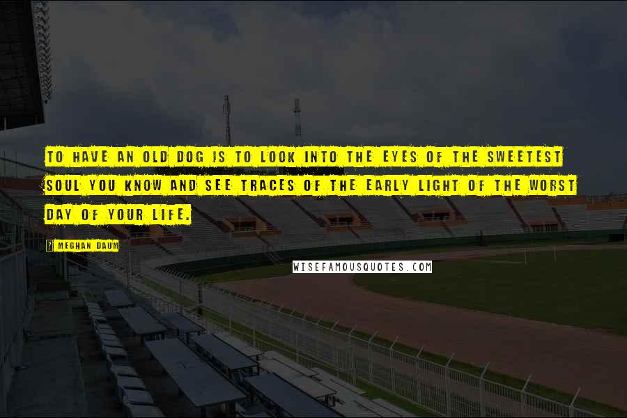 Meghan Daum Quotes: To have an old dog is to look into the eyes of the sweetest soul you know and see traces of the early light of the worst day of your life.