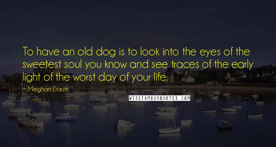 Meghan Daum Quotes: To have an old dog is to look into the eyes of the sweetest soul you know and see traces of the early light of the worst day of your life.