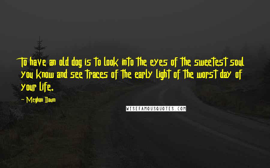 Meghan Daum Quotes: To have an old dog is to look into the eyes of the sweetest soul you know and see traces of the early light of the worst day of your life.