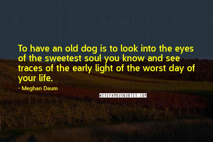 Meghan Daum Quotes: To have an old dog is to look into the eyes of the sweetest soul you know and see traces of the early light of the worst day of your life.