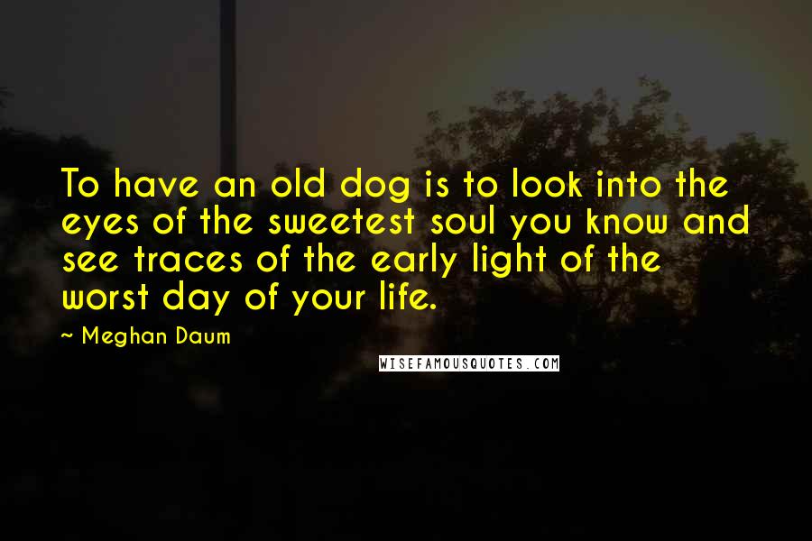 Meghan Daum Quotes: To have an old dog is to look into the eyes of the sweetest soul you know and see traces of the early light of the worst day of your life.