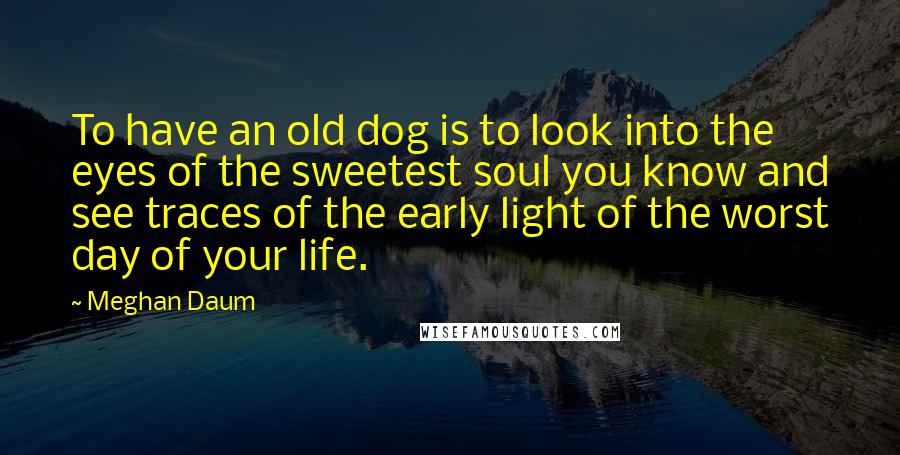 Meghan Daum Quotes: To have an old dog is to look into the eyes of the sweetest soul you know and see traces of the early light of the worst day of your life.