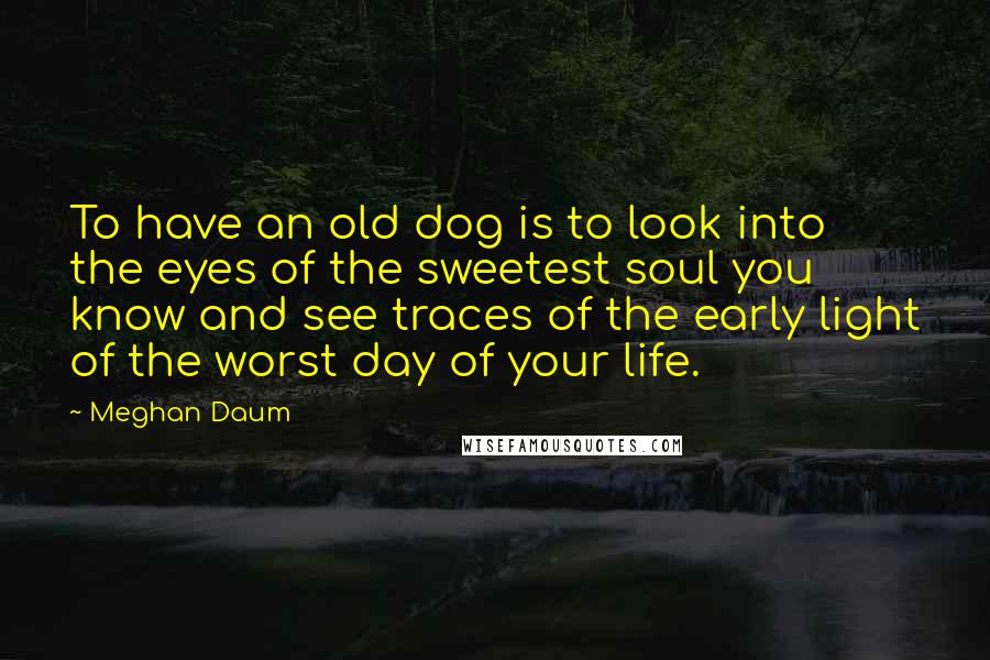 Meghan Daum Quotes: To have an old dog is to look into the eyes of the sweetest soul you know and see traces of the early light of the worst day of your life.
