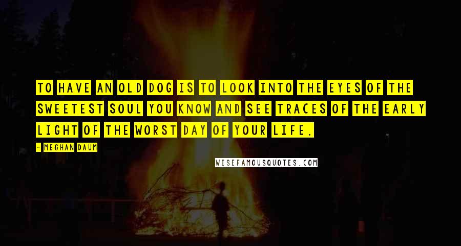 Meghan Daum Quotes: To have an old dog is to look into the eyes of the sweetest soul you know and see traces of the early light of the worst day of your life.