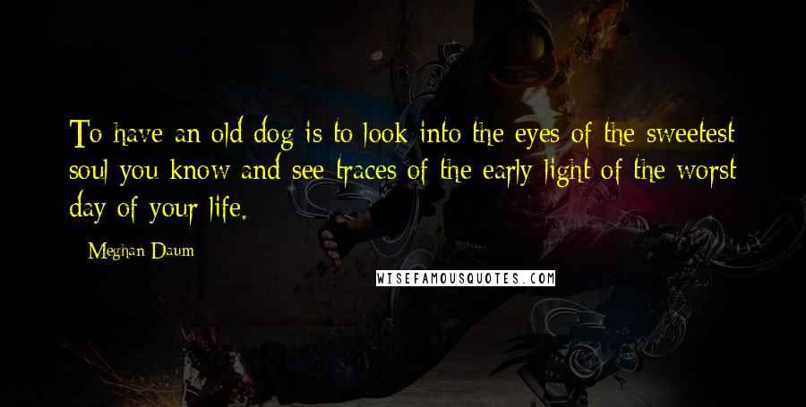 Meghan Daum Quotes: To have an old dog is to look into the eyes of the sweetest soul you know and see traces of the early light of the worst day of your life.