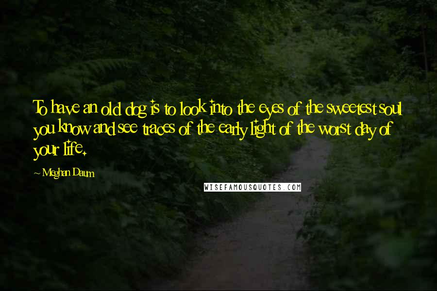 Meghan Daum Quotes: To have an old dog is to look into the eyes of the sweetest soul you know and see traces of the early light of the worst day of your life.