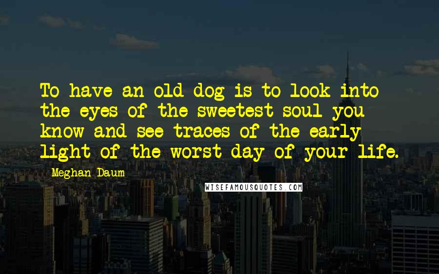 Meghan Daum Quotes: To have an old dog is to look into the eyes of the sweetest soul you know and see traces of the early light of the worst day of your life.