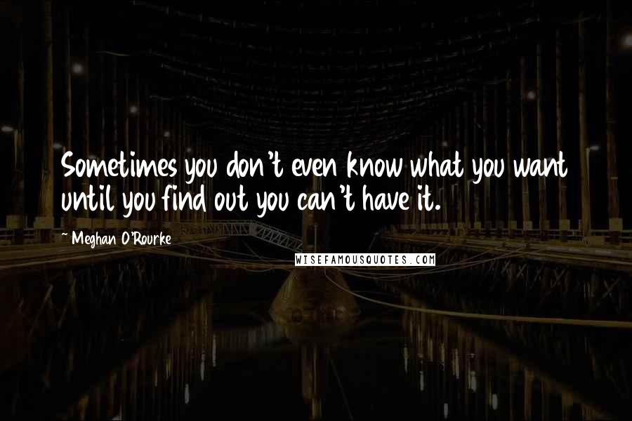 Meghan O'Rourke Quotes: Sometimes you don't even know what you want until you find out you can't have it.