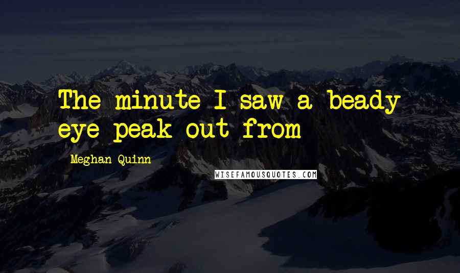 Meghan Quinn Quotes: The minute I saw a beady eye peak out from