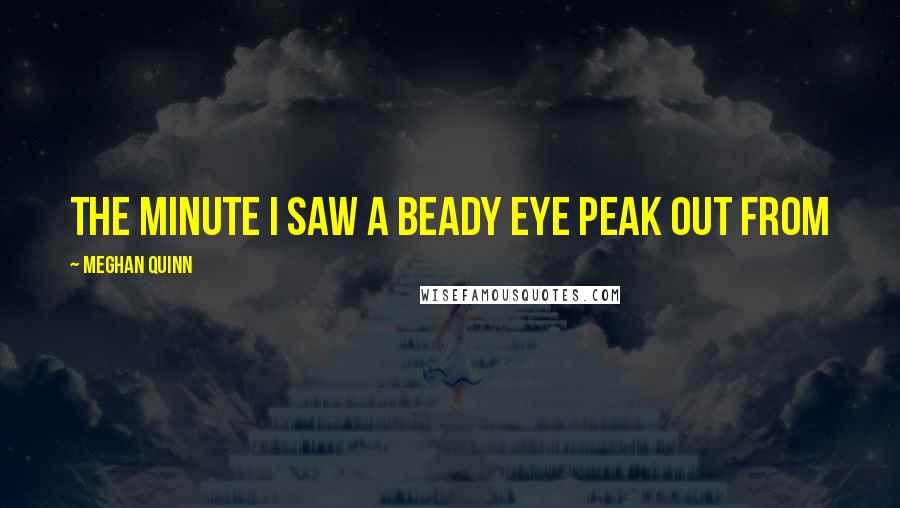 Meghan Quinn Quotes: The minute I saw a beady eye peak out from