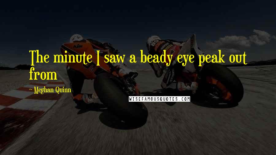 Meghan Quinn Quotes: The minute I saw a beady eye peak out from