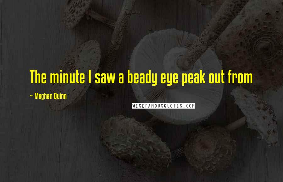 Meghan Quinn Quotes: The minute I saw a beady eye peak out from