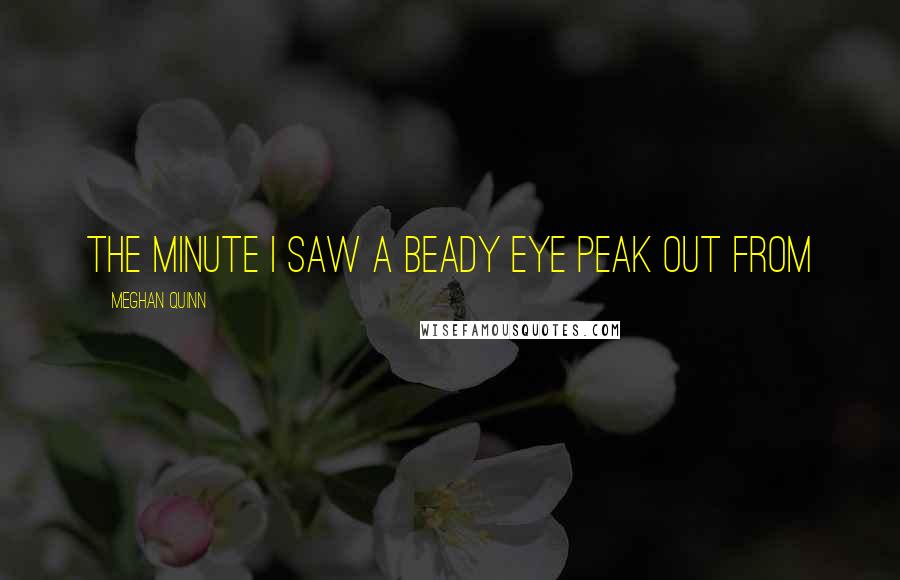 Meghan Quinn Quotes: The minute I saw a beady eye peak out from