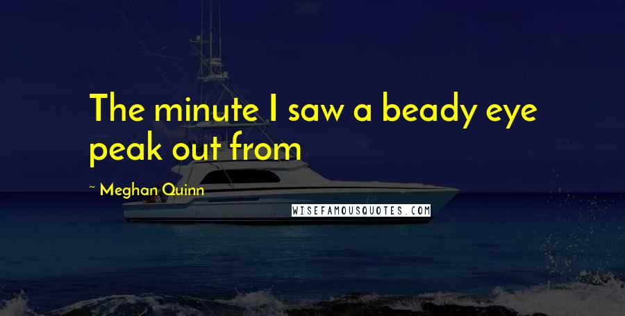 Meghan Quinn Quotes: The minute I saw a beady eye peak out from