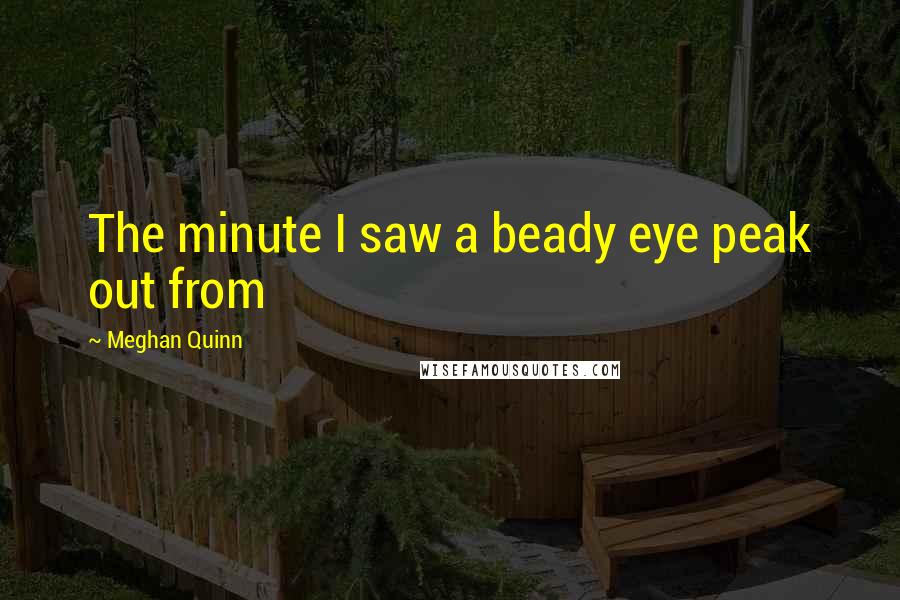 Meghan Quinn Quotes: The minute I saw a beady eye peak out from