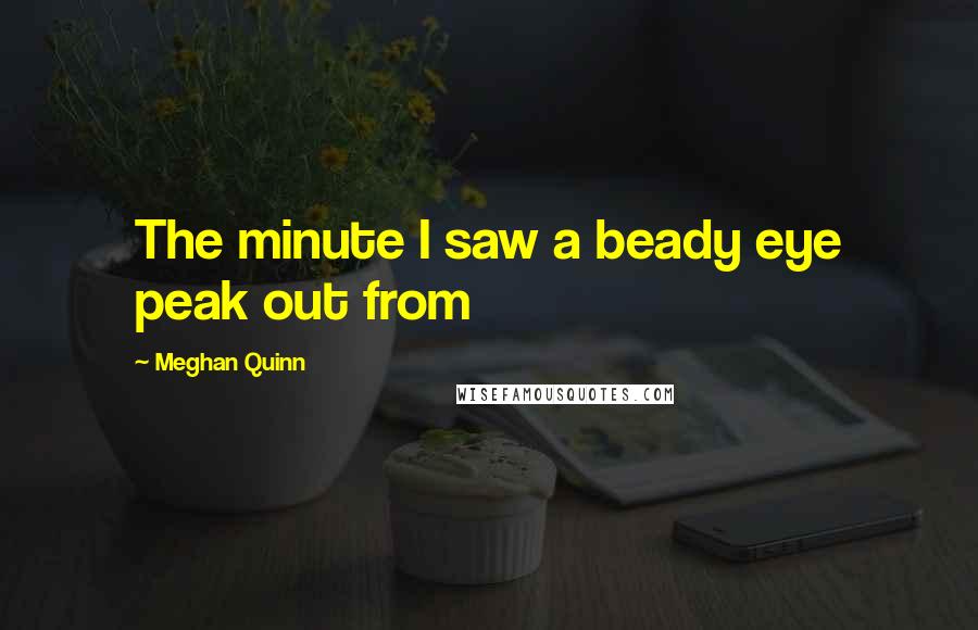 Meghan Quinn Quotes: The minute I saw a beady eye peak out from