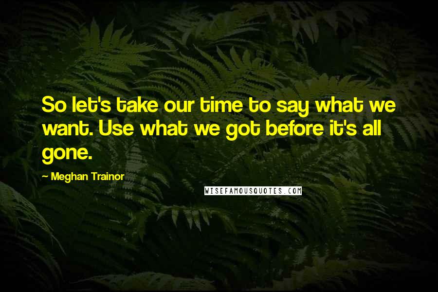 Meghan Trainor Quotes: So let's take our time to say what we want. Use what we got before it's all gone.