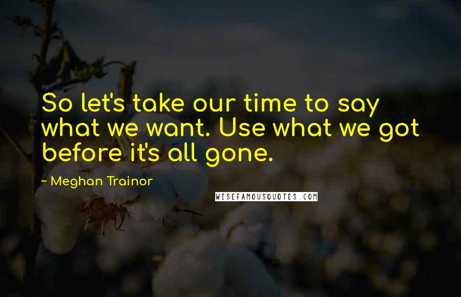 Meghan Trainor Quotes: So let's take our time to say what we want. Use what we got before it's all gone.