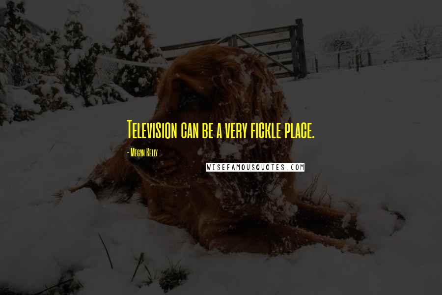 Megyn Kelly Quotes: Television can be a very fickle place.