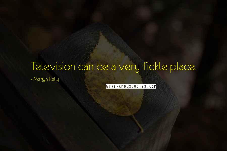 Megyn Kelly Quotes: Television can be a very fickle place.