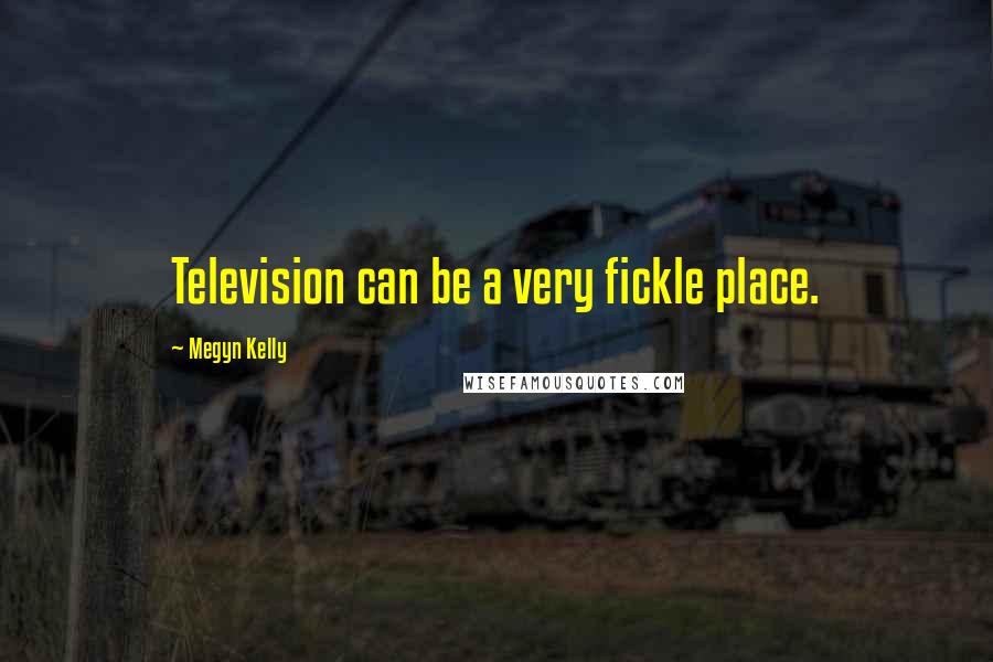 Megyn Kelly Quotes: Television can be a very fickle place.