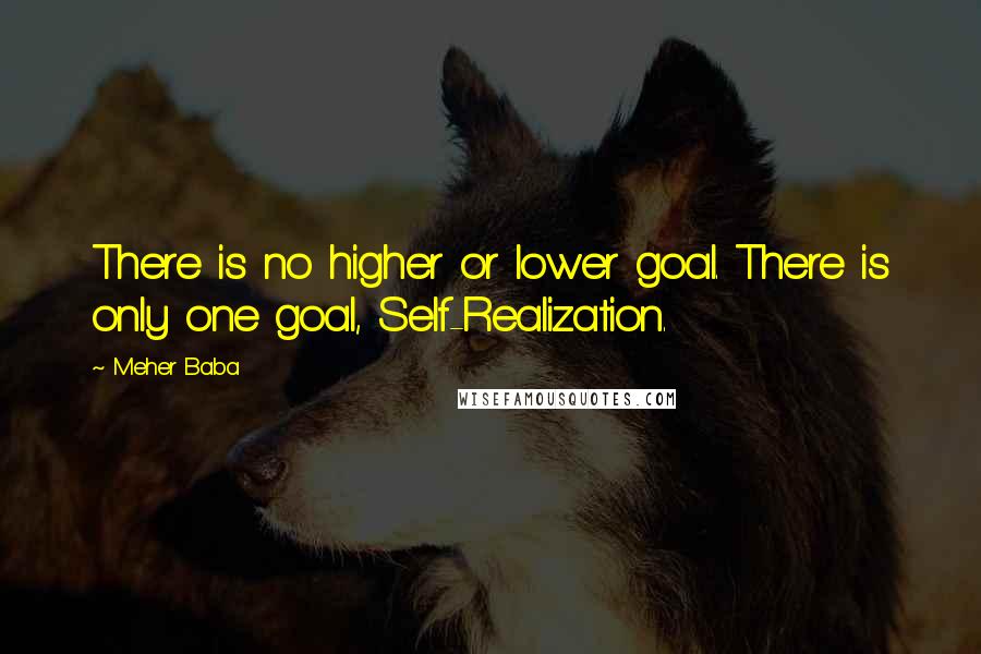 Meher Baba Quotes: There is no higher or lower goal. There is only one goal, Self-Realization.