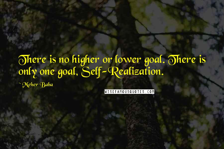 Meher Baba Quotes: There is no higher or lower goal. There is only one goal, Self-Realization.