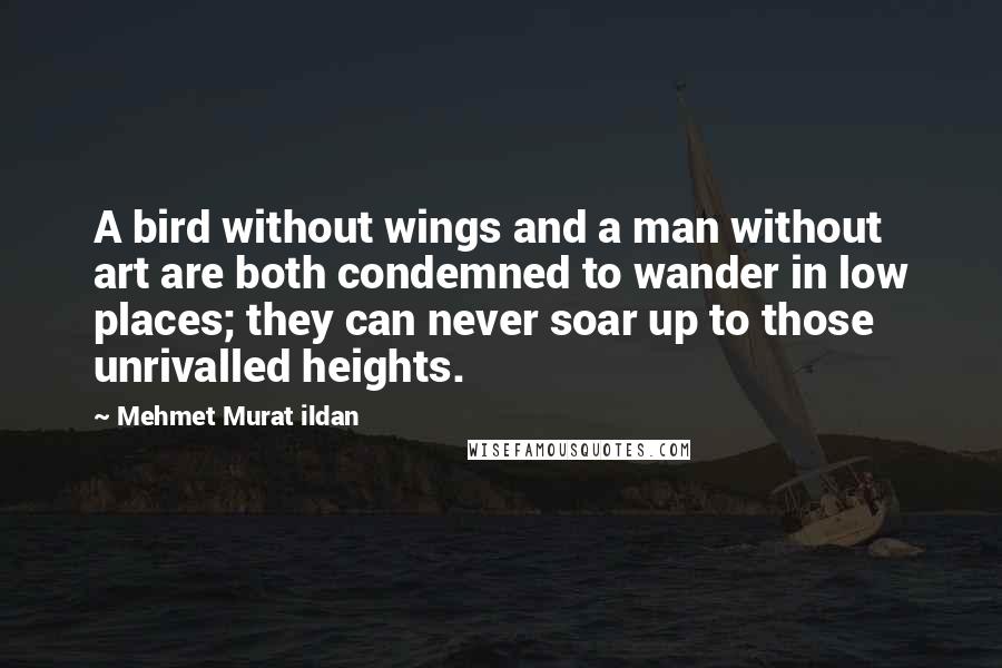 Mehmet Murat Ildan Quotes: A bird without wings and a man without art are both condemned to wander in low places; they can never soar up to those unrivalled heights.
