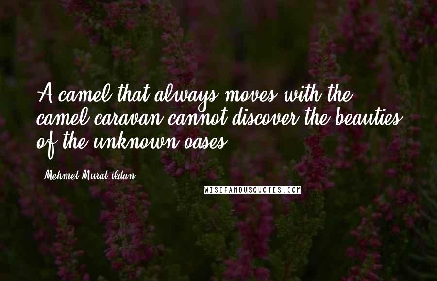 Mehmet Murat Ildan Quotes: A camel that always moves with the camel caravan cannot discover the beauties of the unknown oases!