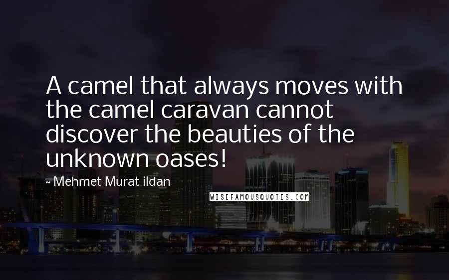 Mehmet Murat Ildan Quotes: A camel that always moves with the camel caravan cannot discover the beauties of the unknown oases!