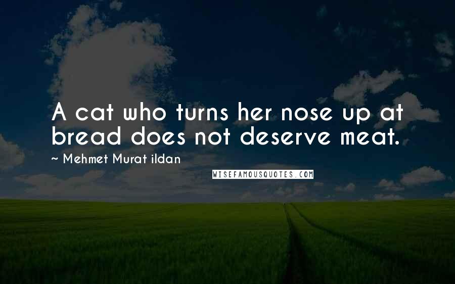 Mehmet Murat Ildan Quotes: A cat who turns her nose up at bread does not deserve meat.