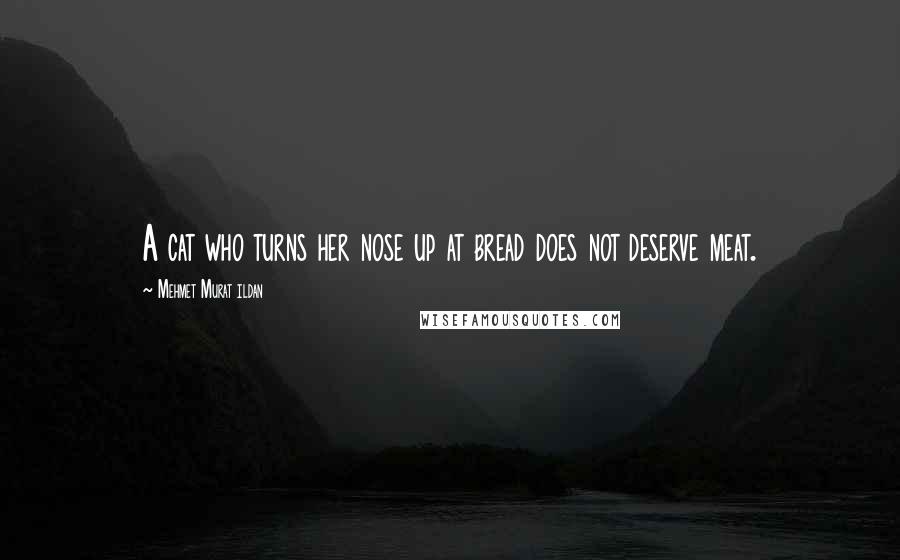 Mehmet Murat Ildan Quotes: A cat who turns her nose up at bread does not deserve meat.