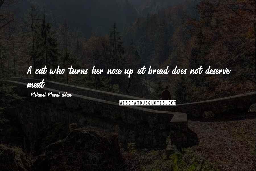 Mehmet Murat Ildan Quotes: A cat who turns her nose up at bread does not deserve meat.